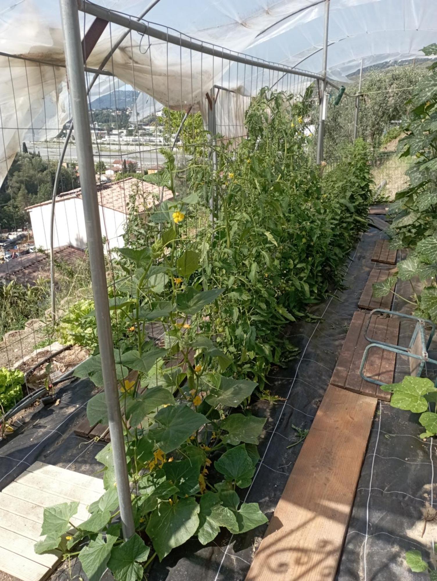 La Vigne Sous Les Pins Apartment Castagniers Exterior photo